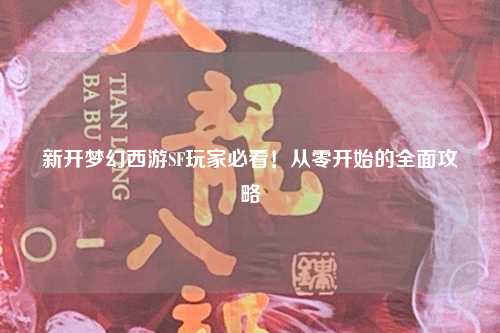 新開夢幻西游SF玩家必看！從零開始的全面攻略