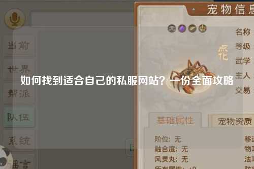 如何找到適合自己的私服網(wǎng)站？一份全面攻略