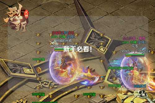 新手必看！