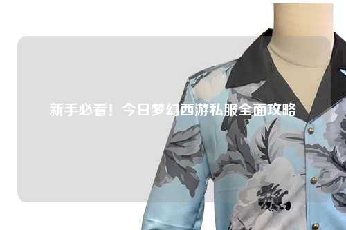 新手必看！今日夢幻西游私服全面攻略
