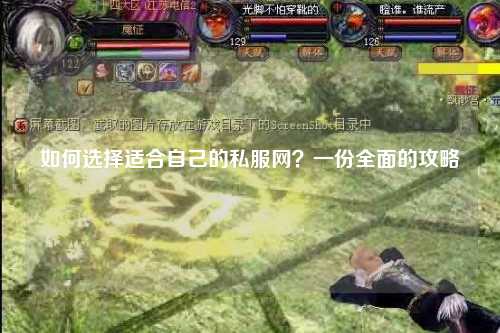 如何選擇適合自己的私服網(wǎng)？一份全面的攻略